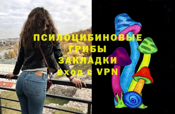 марки lsd Абаза