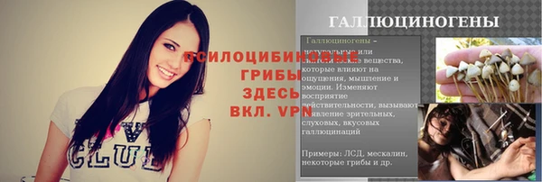 сатива Абинск